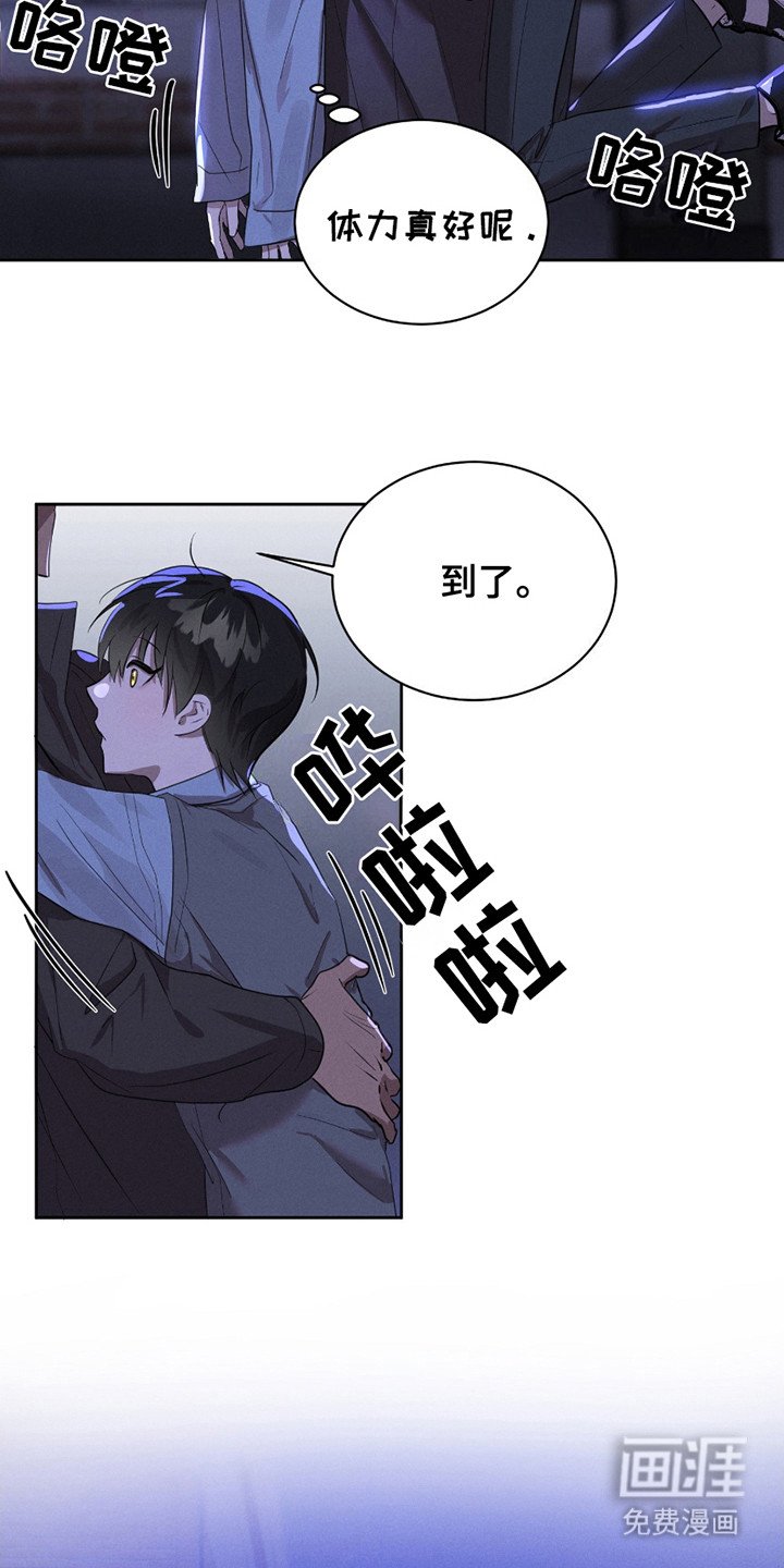 第15章：流浪猫
