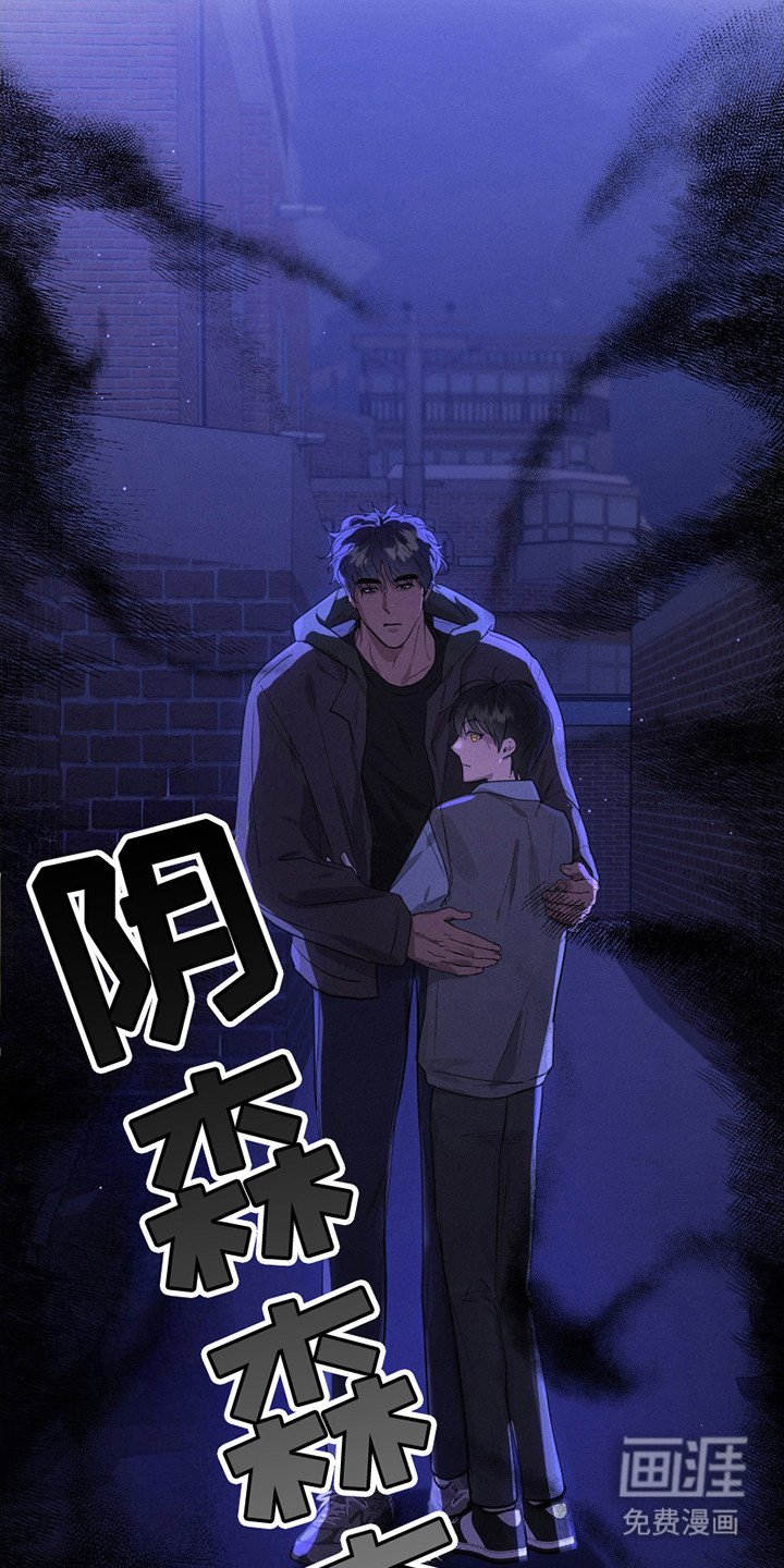 第15章：流浪猫