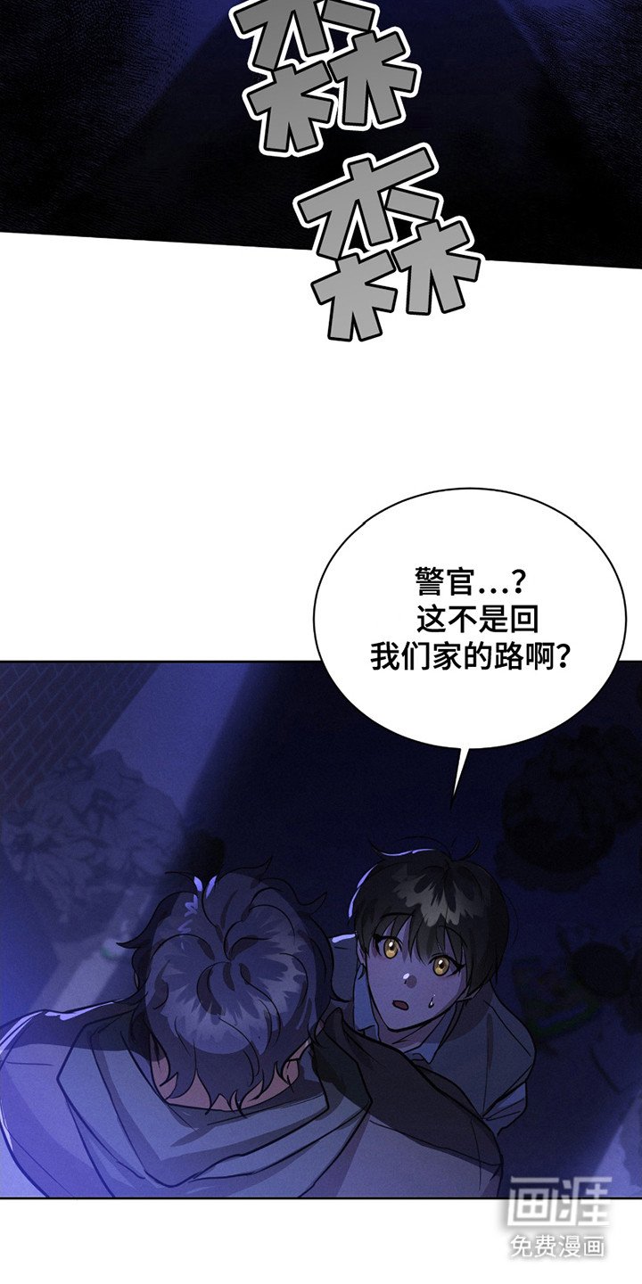 第15章：流浪猫