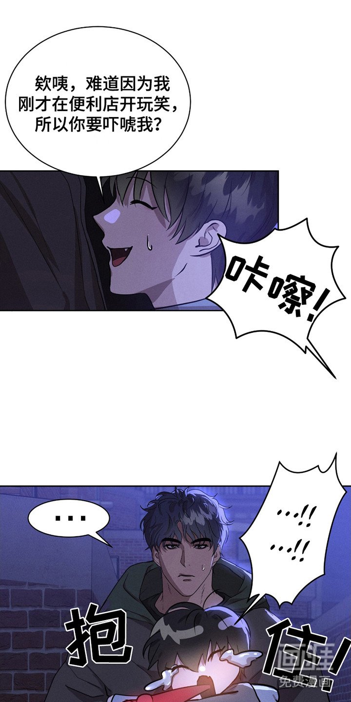 第15章：流浪猫
