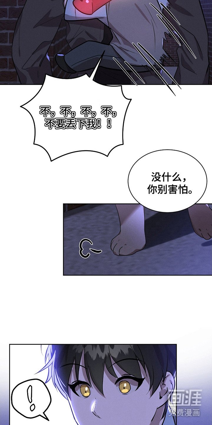 第15章：流浪猫