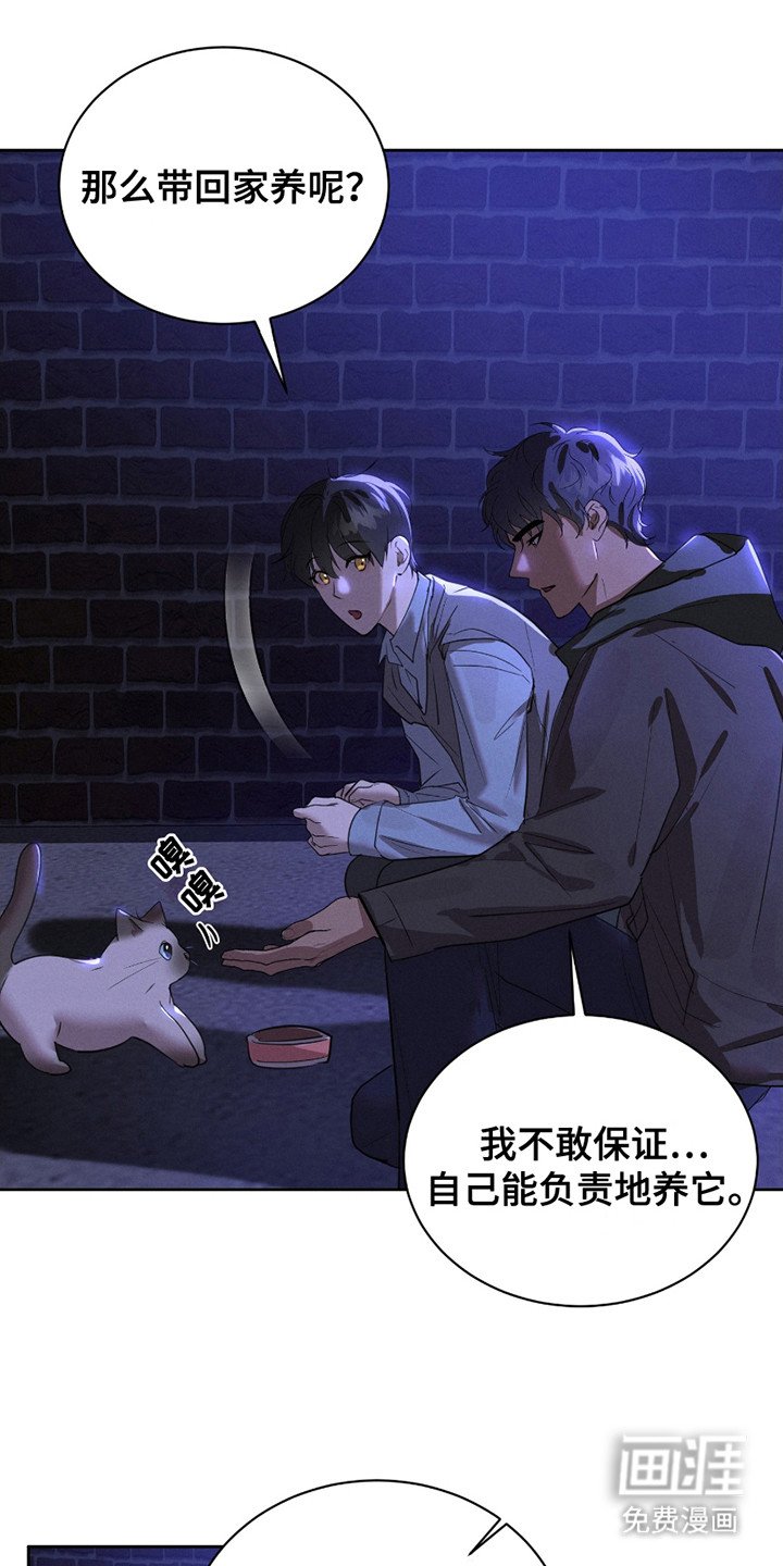 第15章：流浪猫