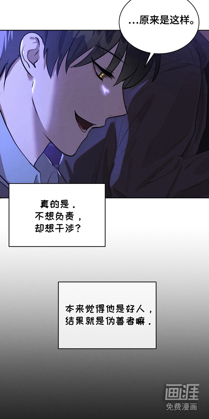 第15章：流浪猫