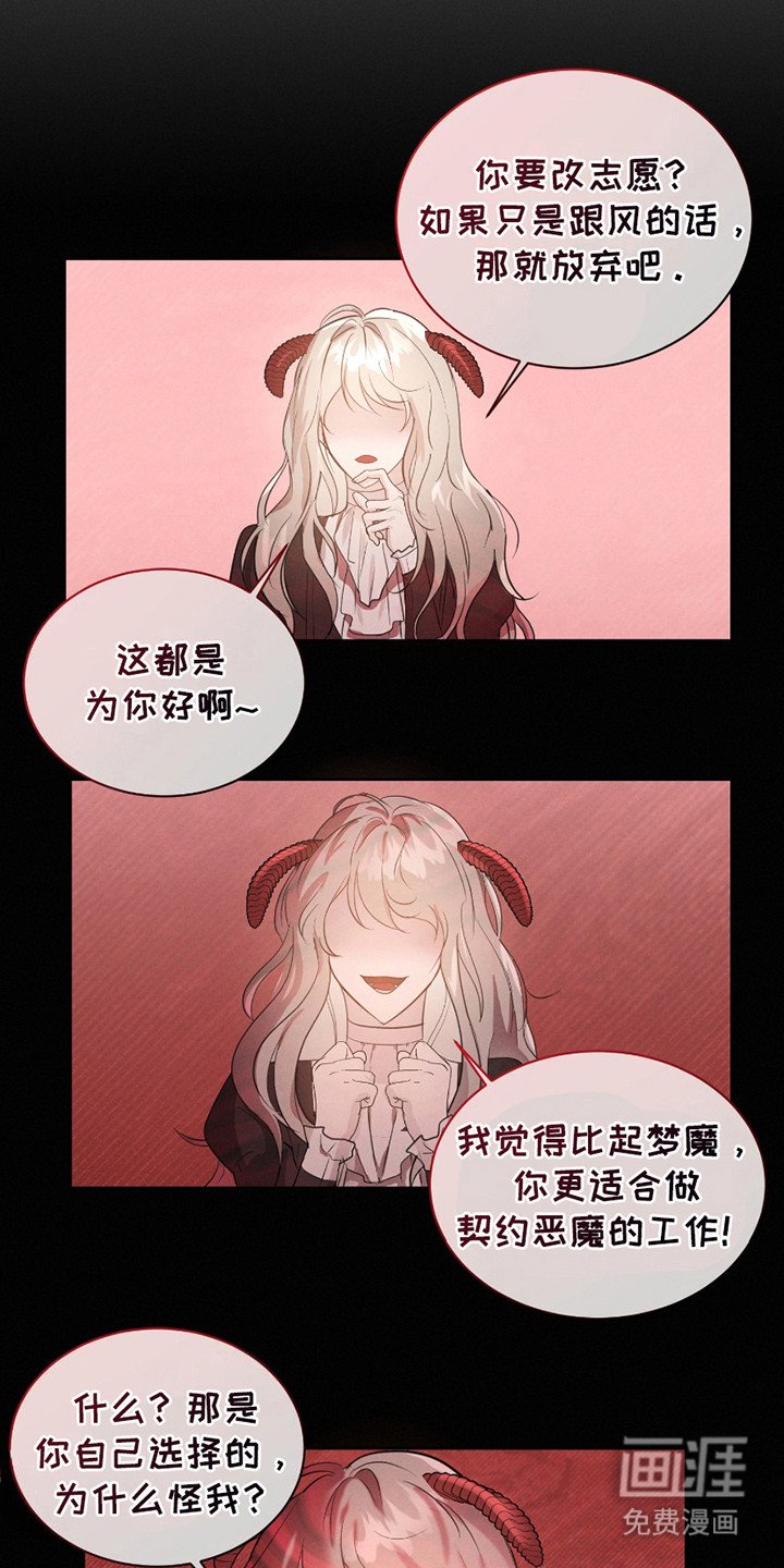 第15章：流浪猫