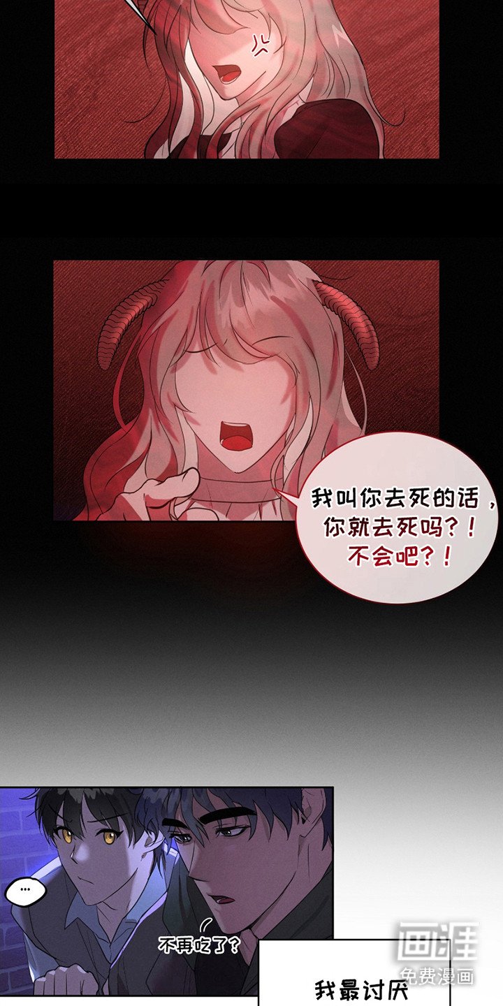 第15章：流浪猫