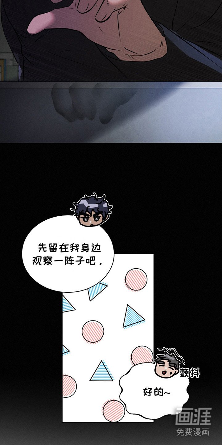 第17章：胡思乱想