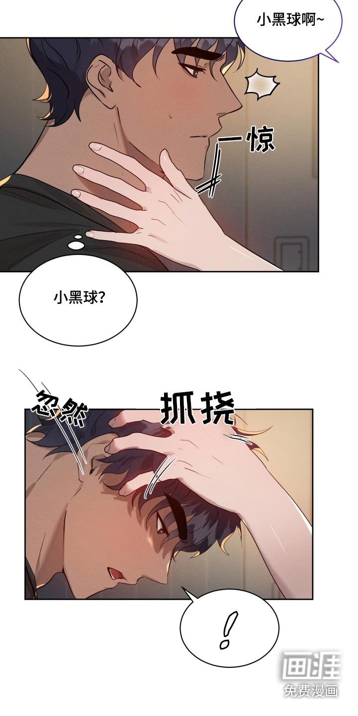 第32章：小黑球