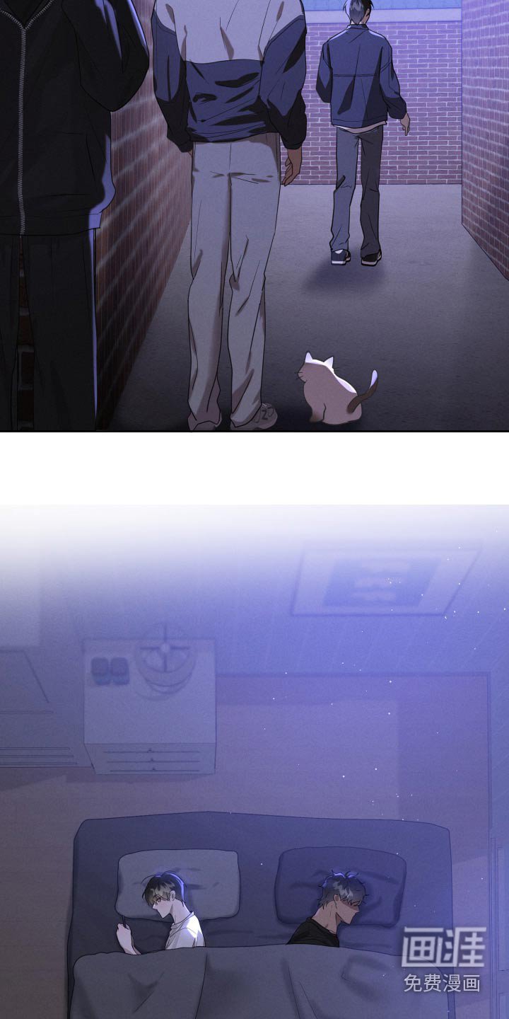 第36章：亲自前去