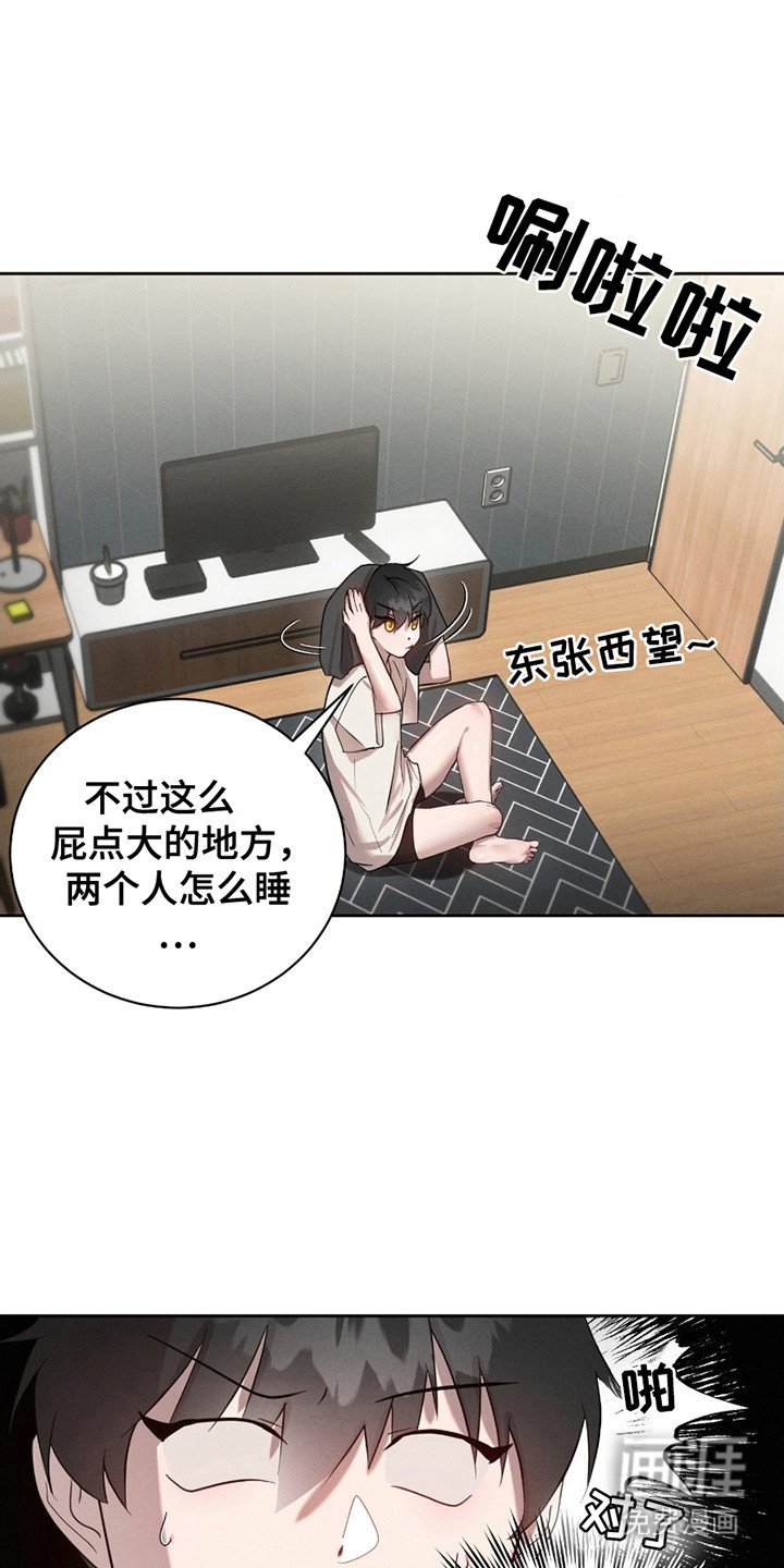 第5章：带回家