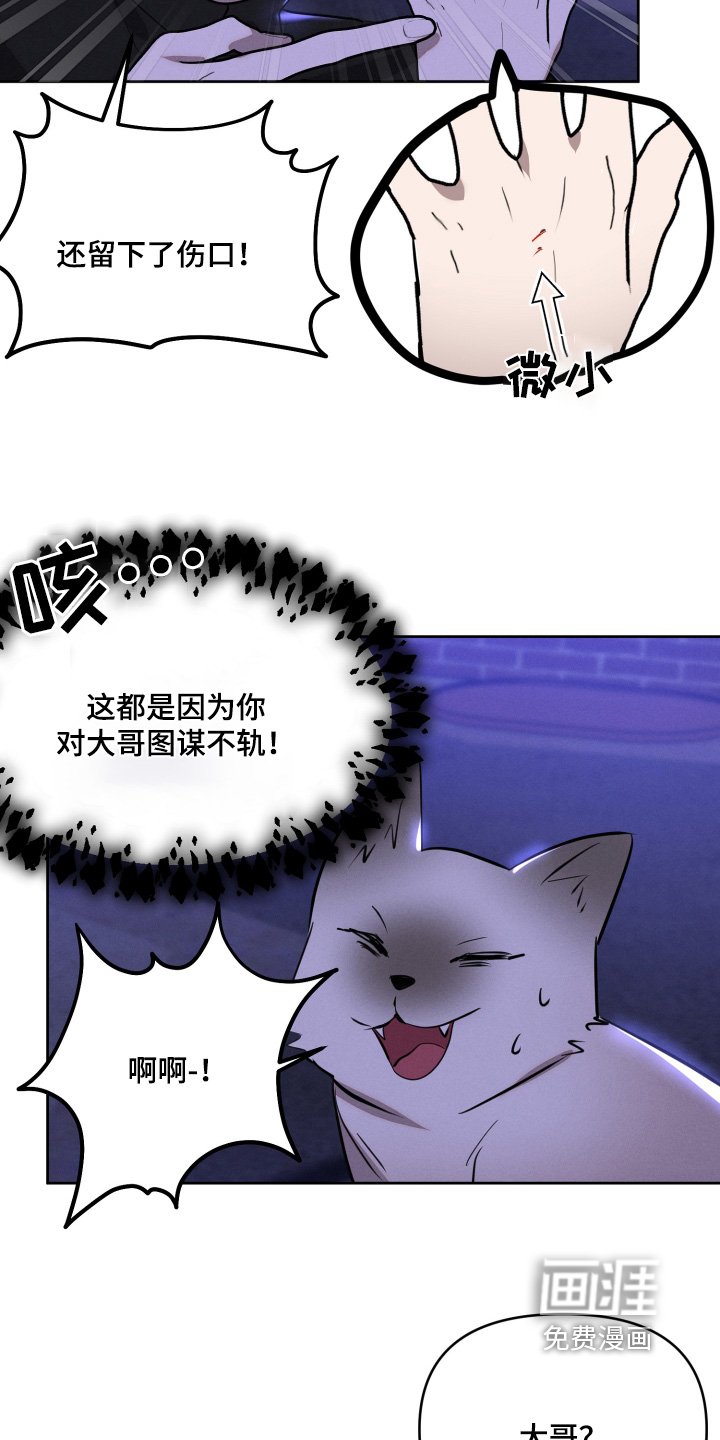 第55章：他是我的