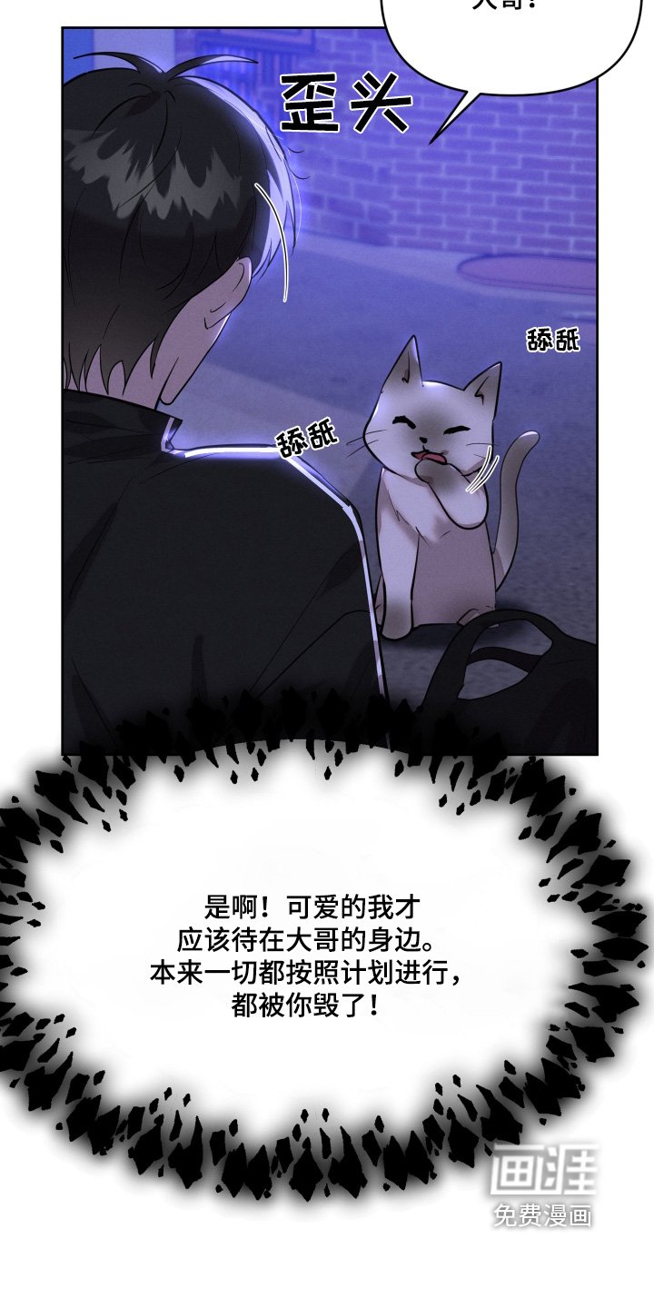 第55章：他是我的