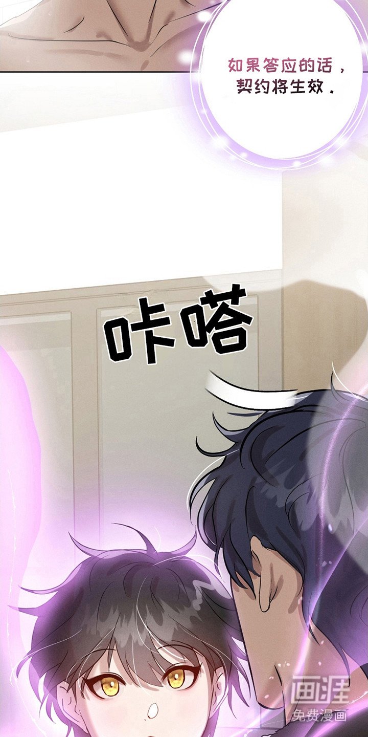 第6章：错觉