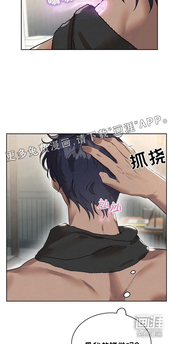 第6章：错觉