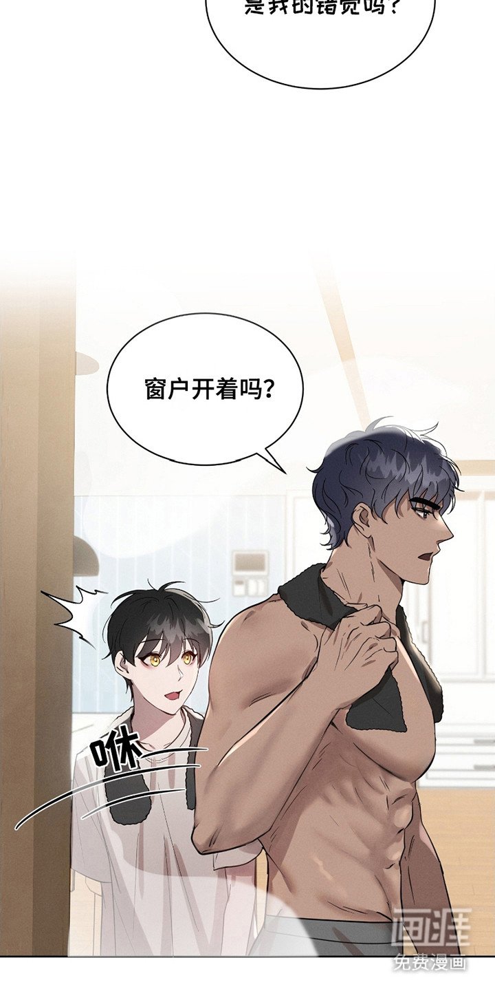 第6章：错觉