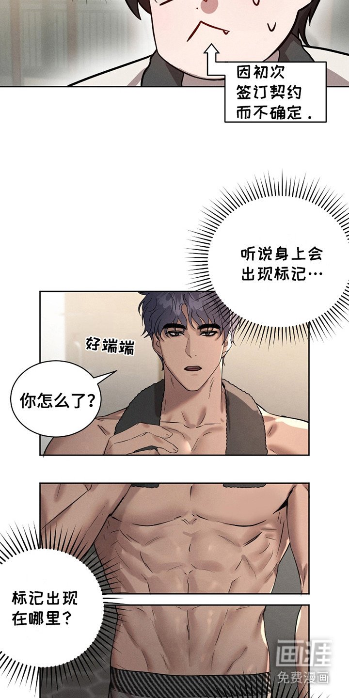第6章：错觉
