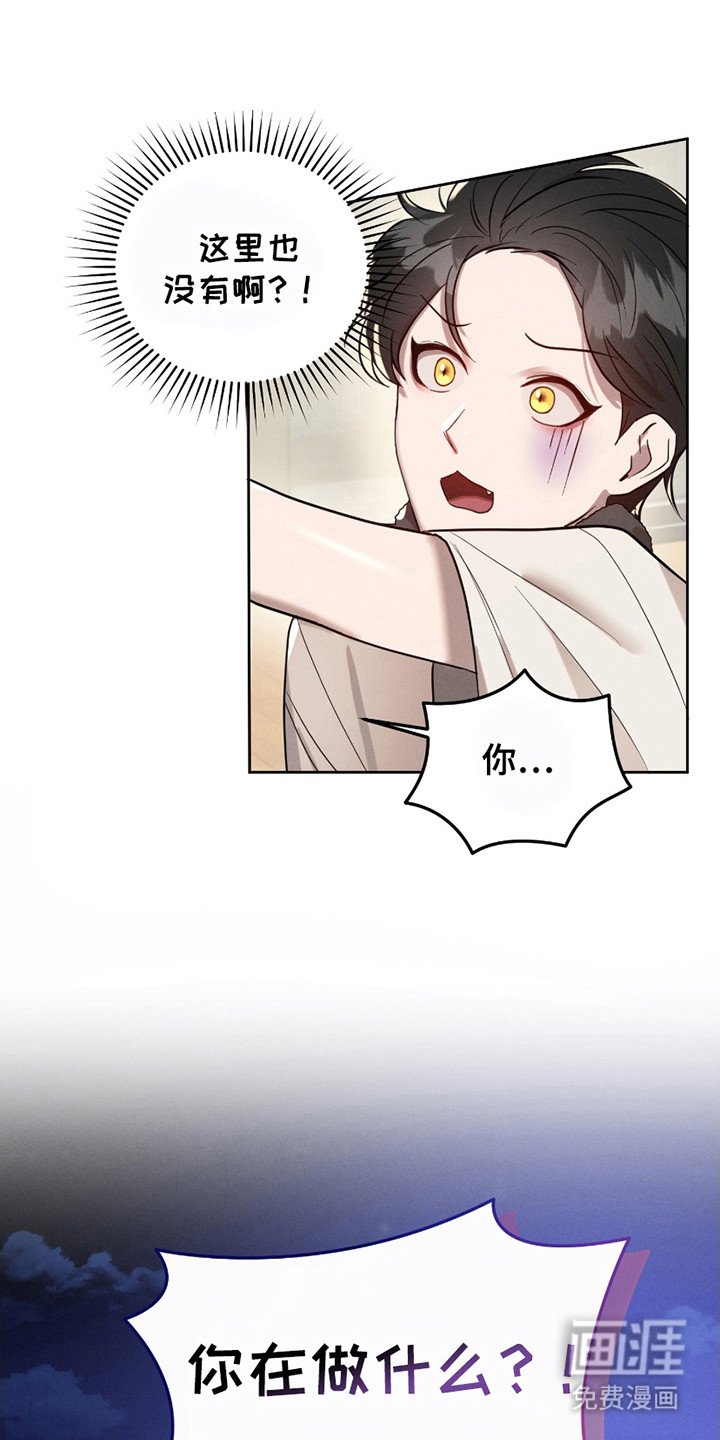 第6章：错觉