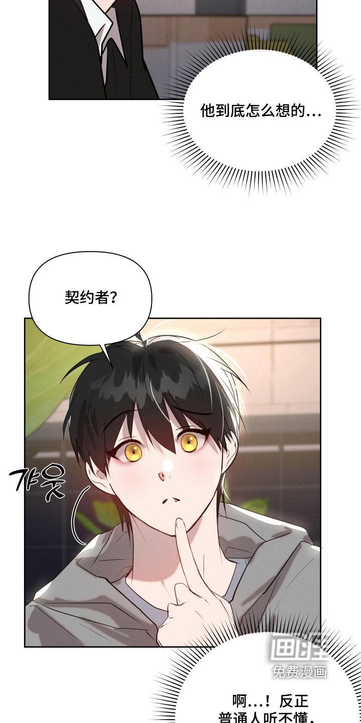 第60章：契约关系