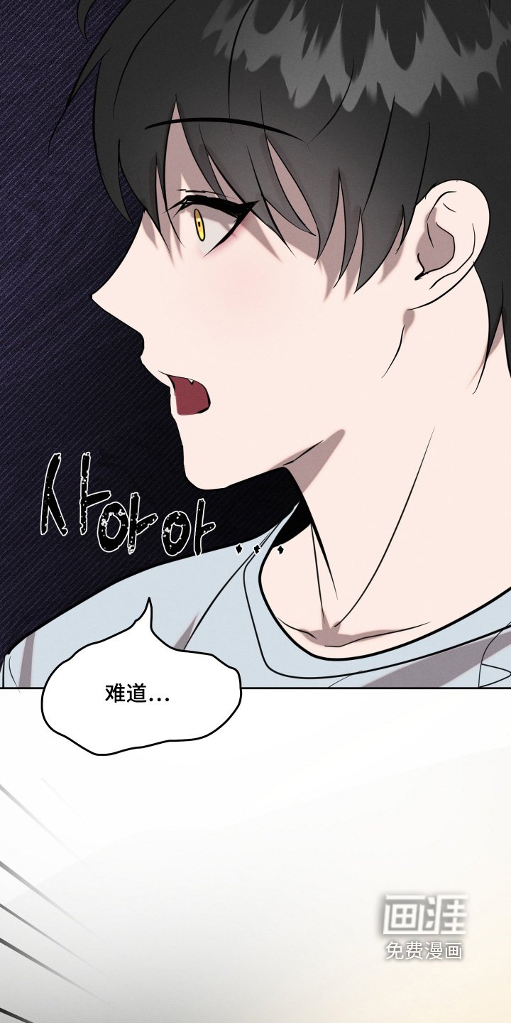 第76章：出什么事了