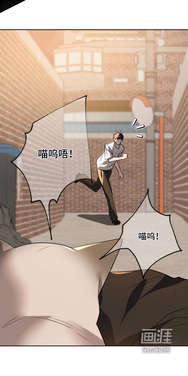 第76章：出什么事了