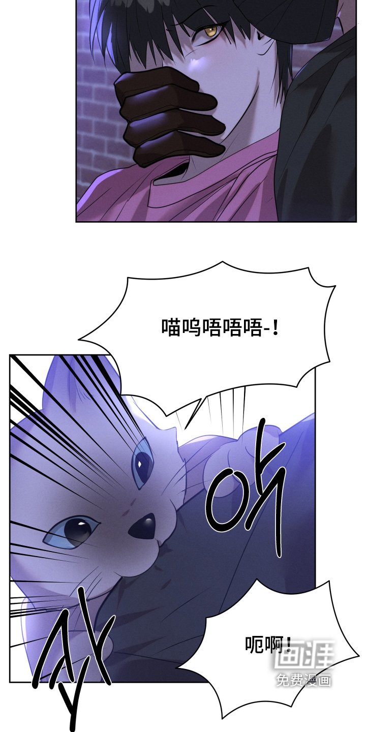 第91章：你是谁