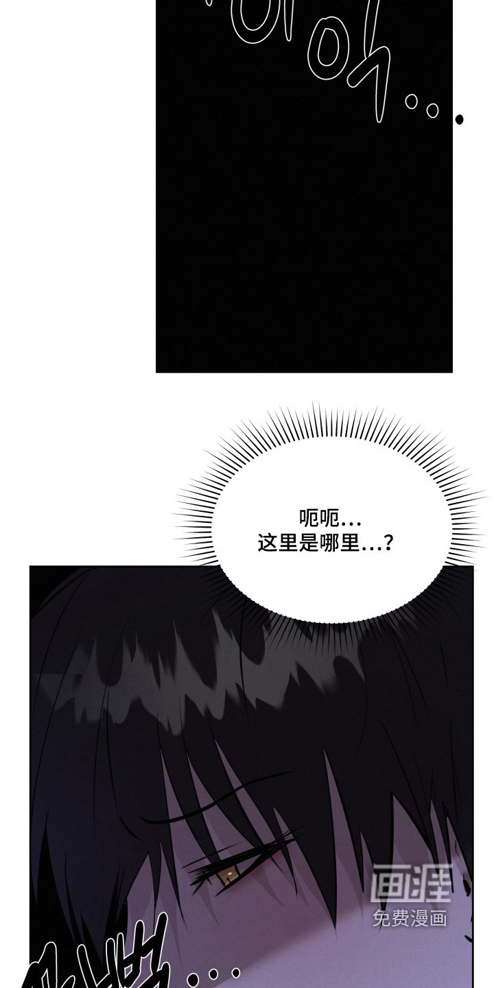第92章：绑架