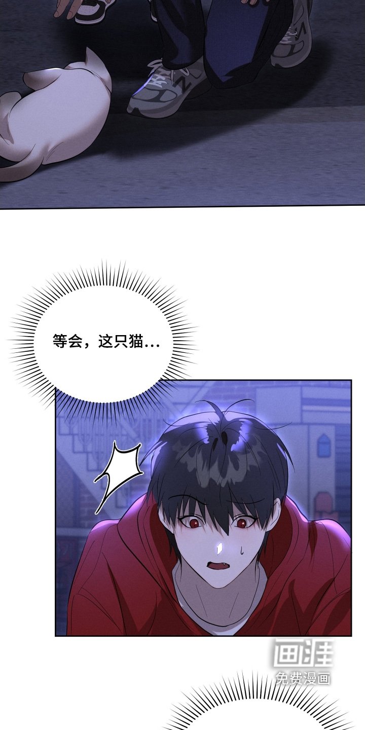 第97章：想去哪里