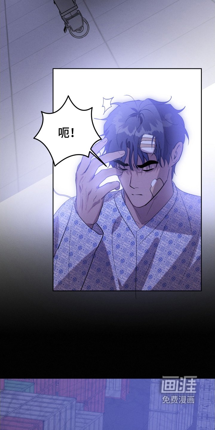 第98章：如果是真的话