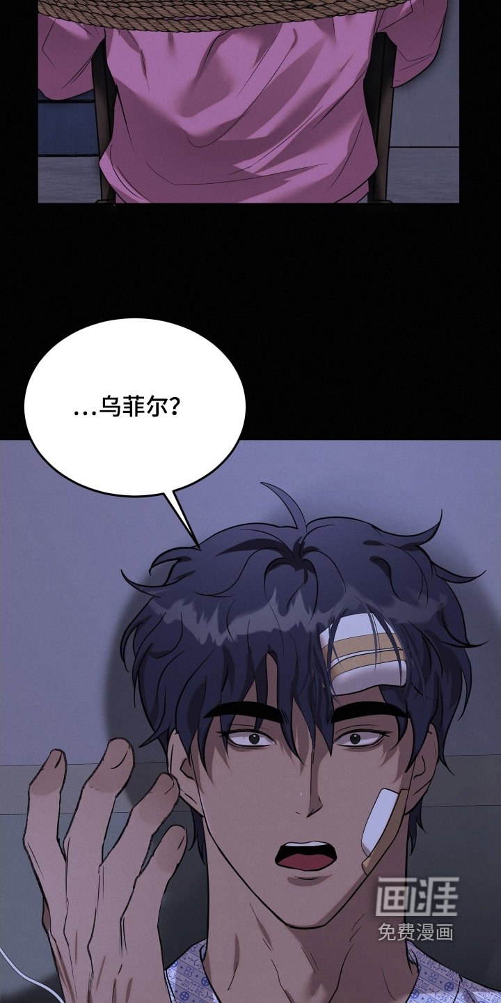 第98章：如果是真的话