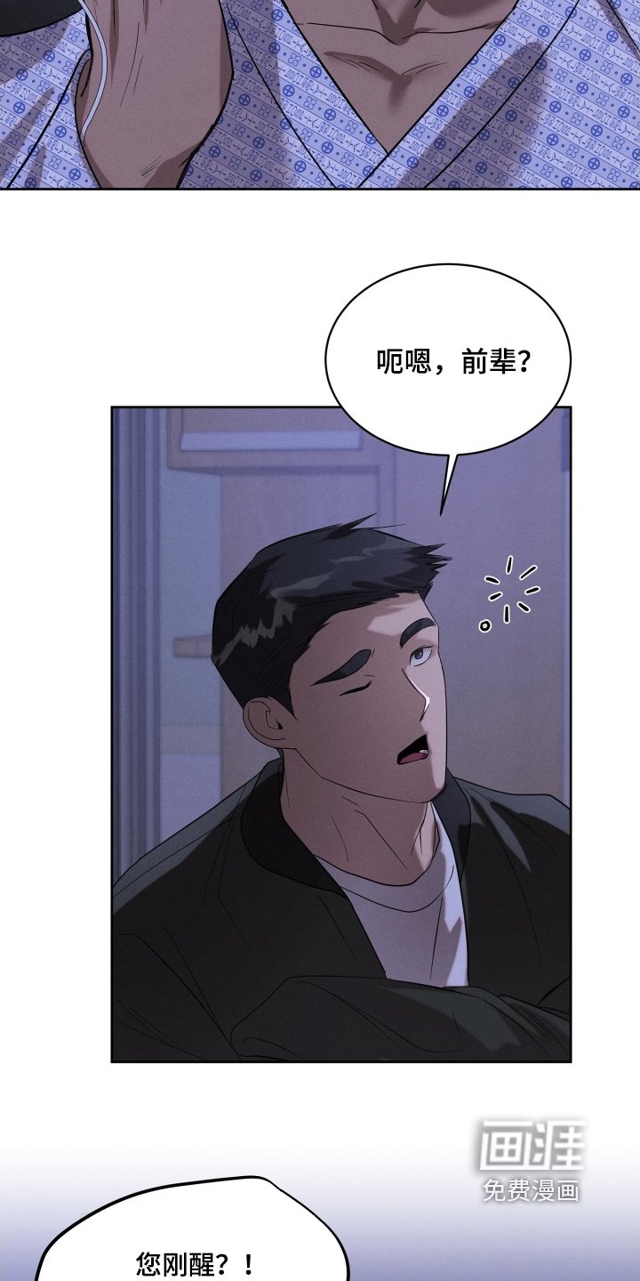 第98章：如果是真的话