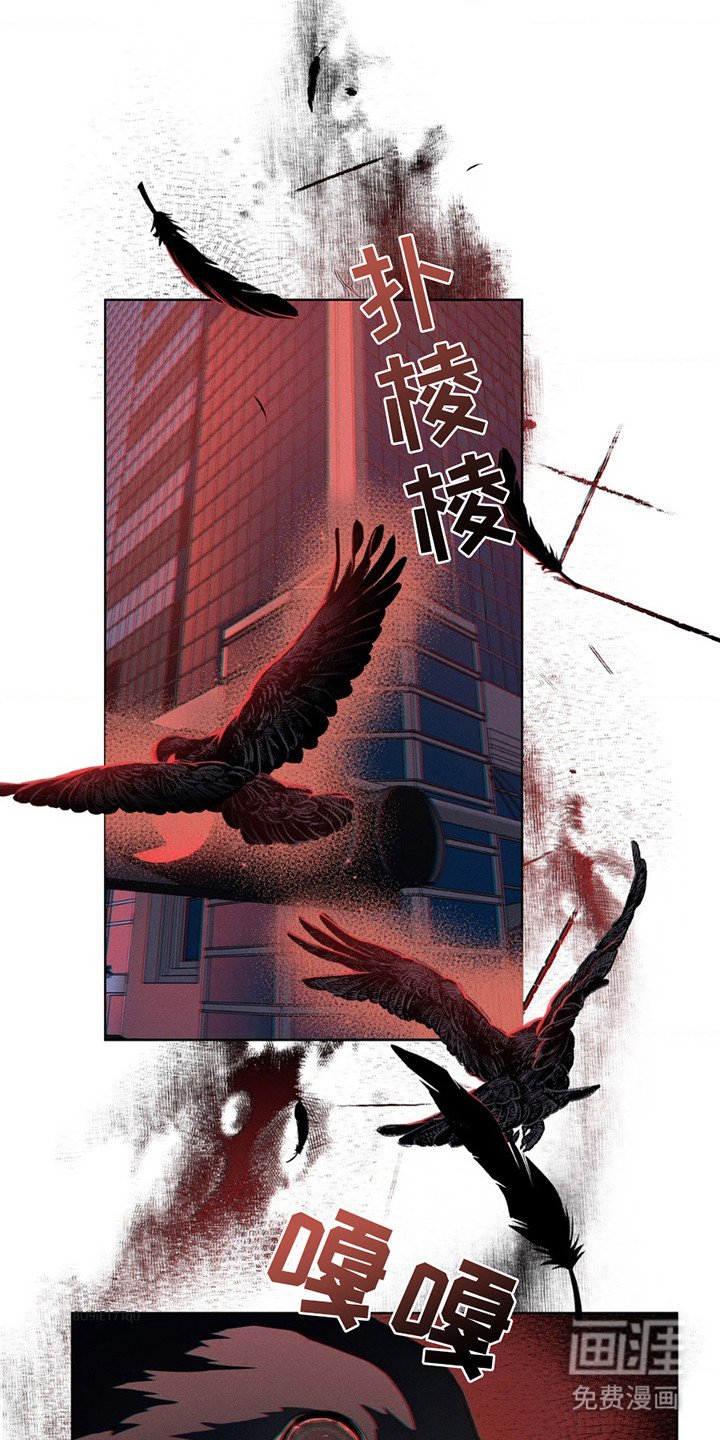 第12章：天上的眼睛
