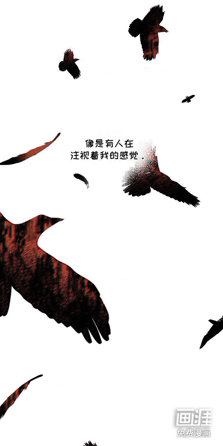 第12章：天上的眼睛