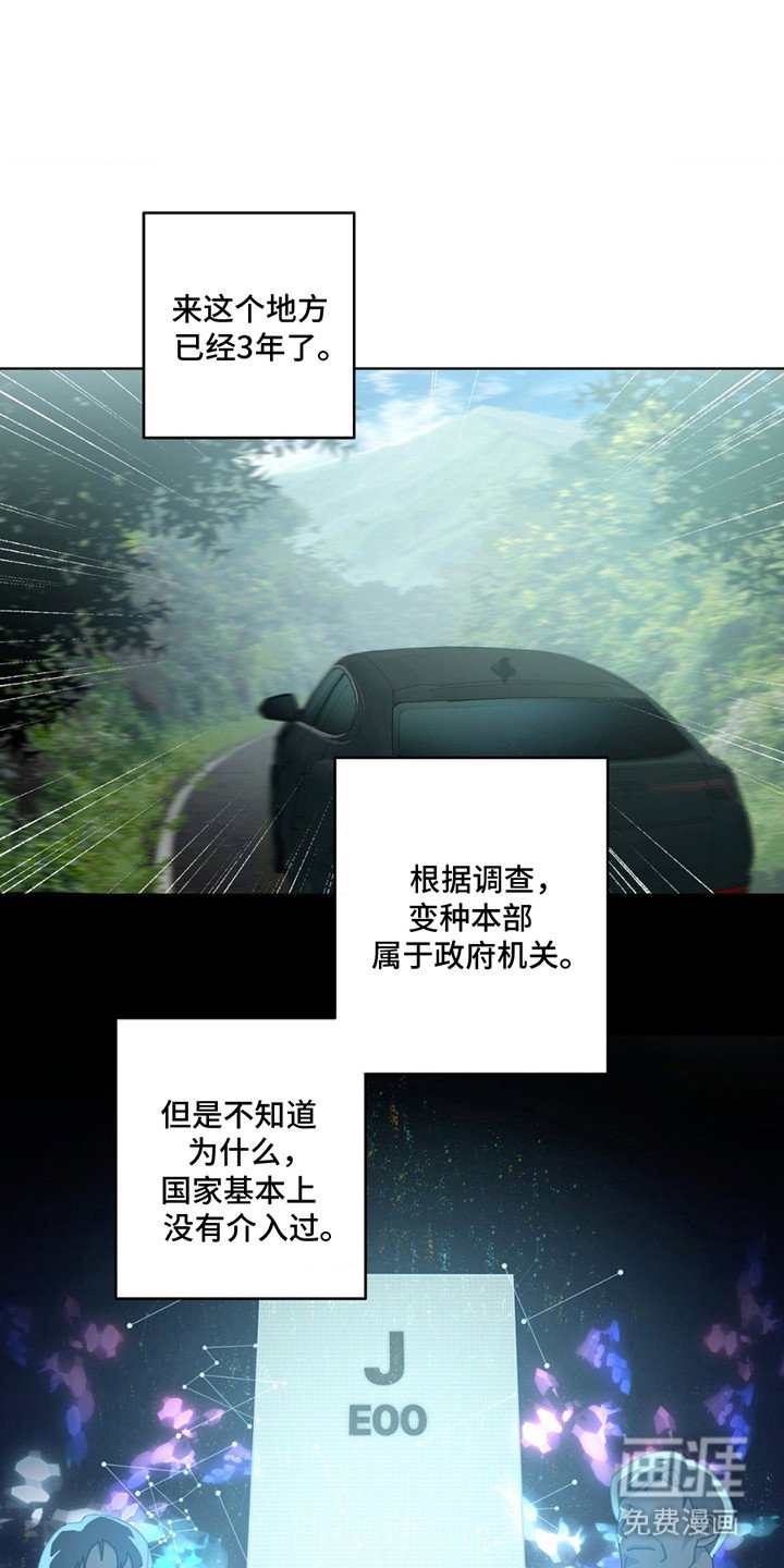 第14章：隐情