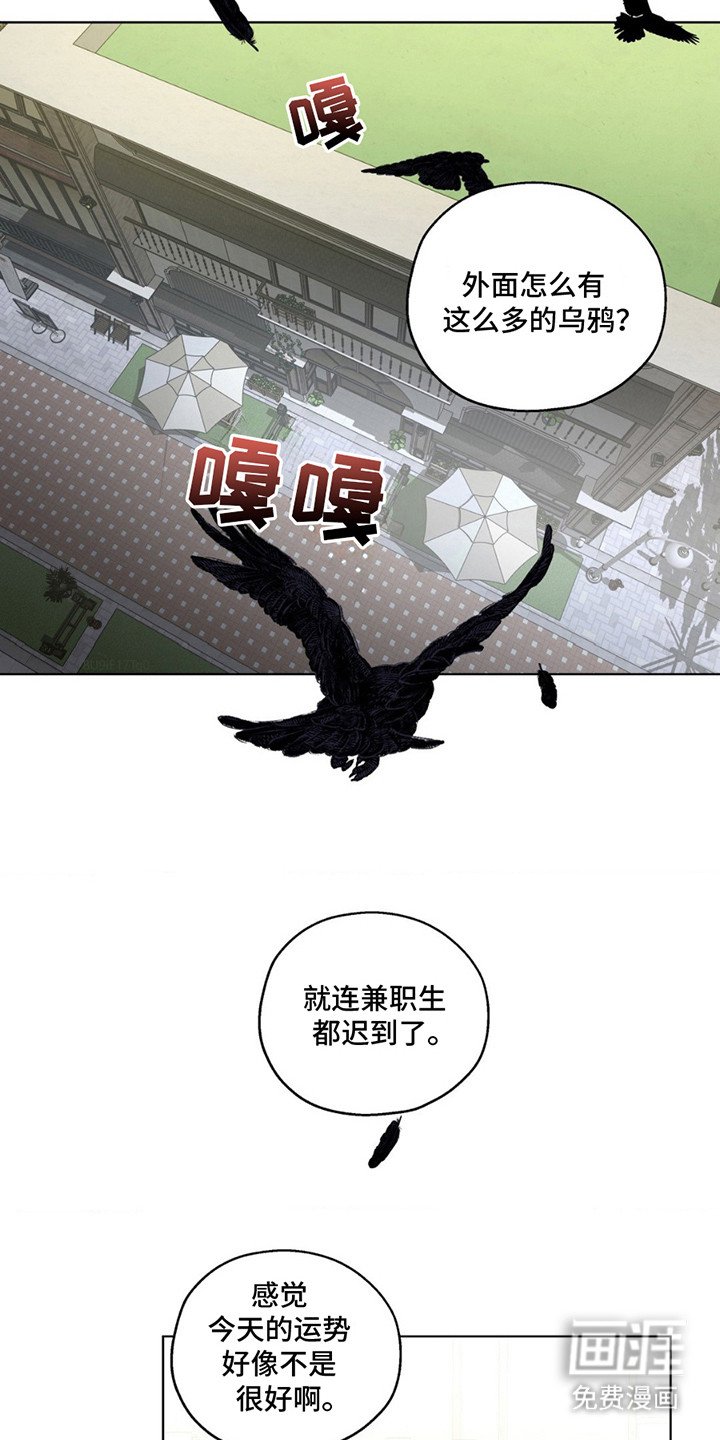 第14章：隐情