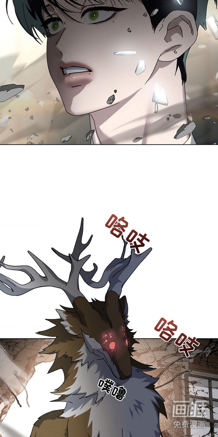 第14章：隐情