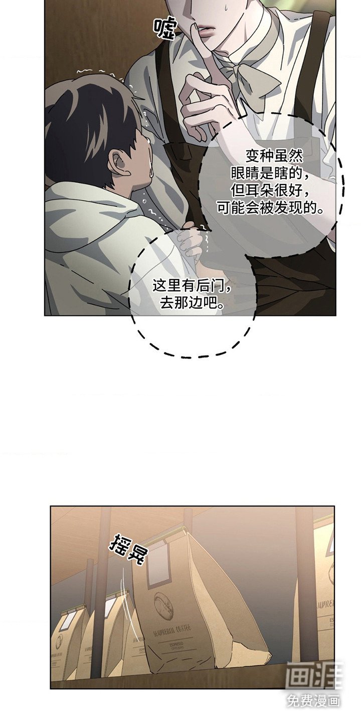 第15章：千钧一发