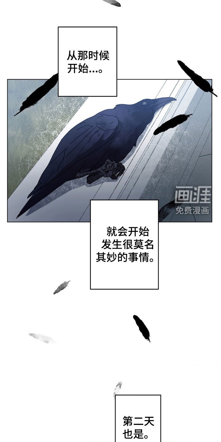 第17章：为什么偏偏是我