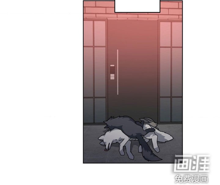 第17章：为什么偏偏是我