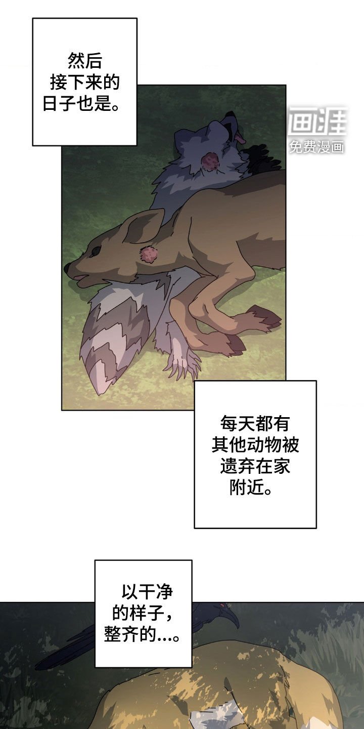第17章：为什么偏偏是我