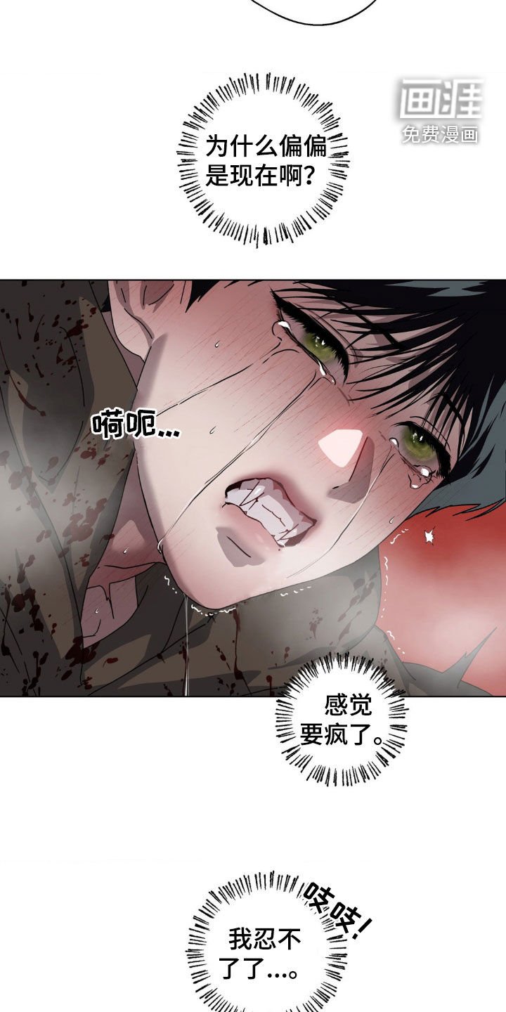 第19章：血雨