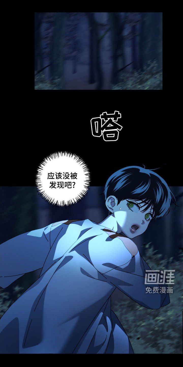 第26章：红色星星