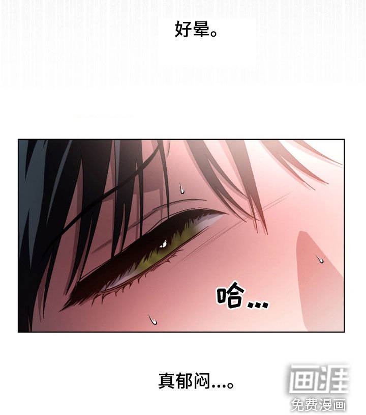 第28章：我要杀了你
