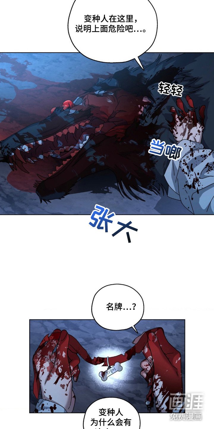 第32章：打击头部