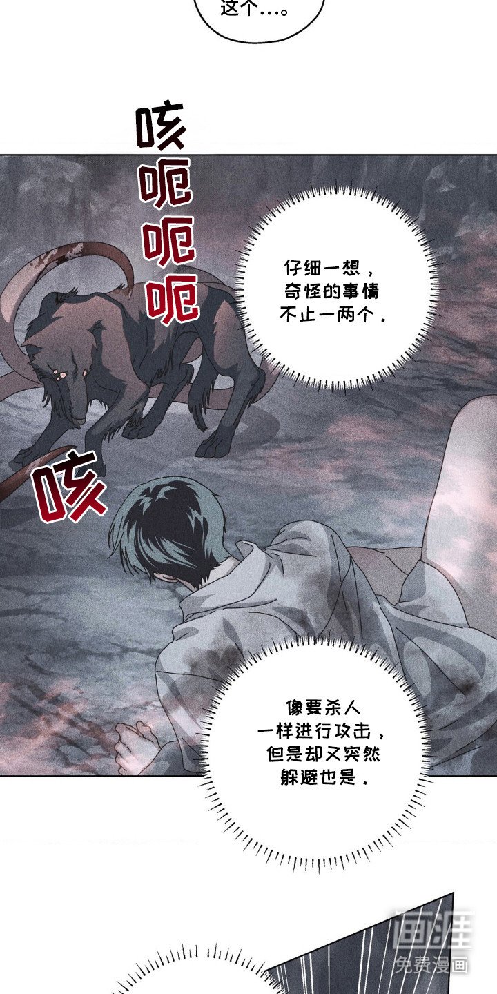 第32章：打击头部