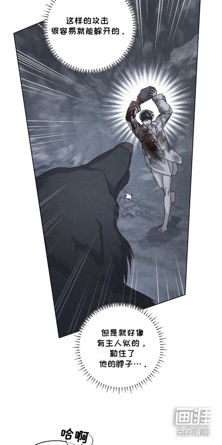 第32章：打击头部