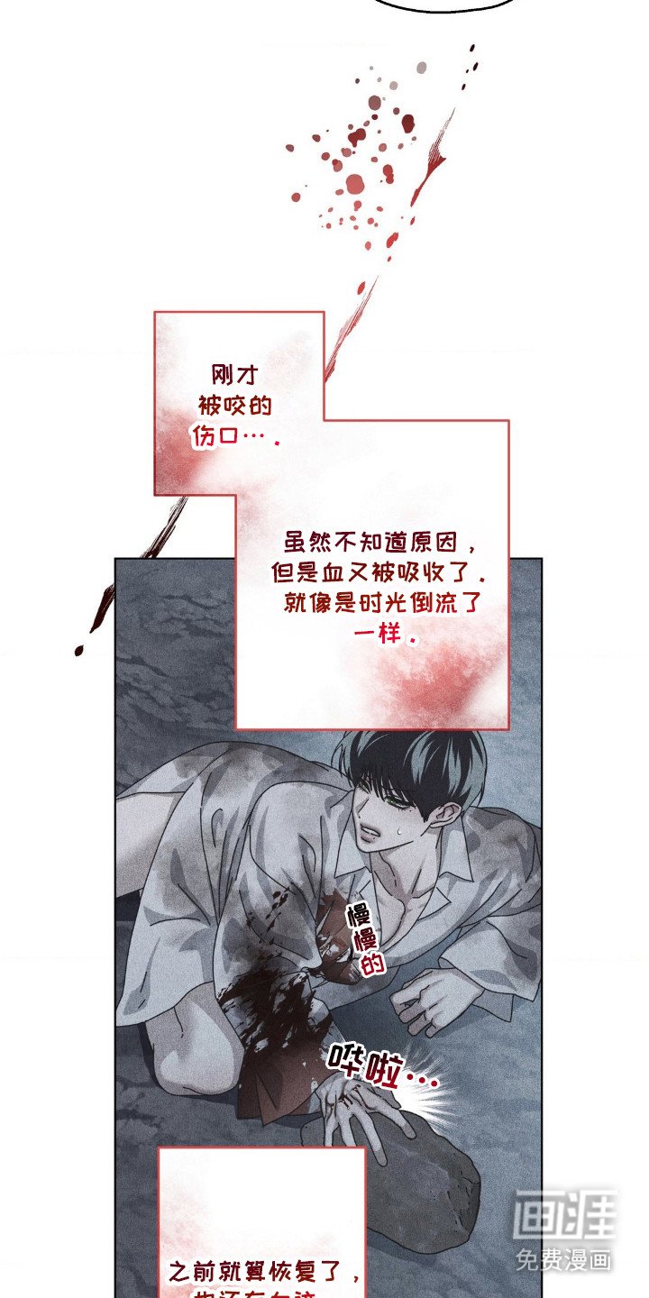 第32章：打击头部