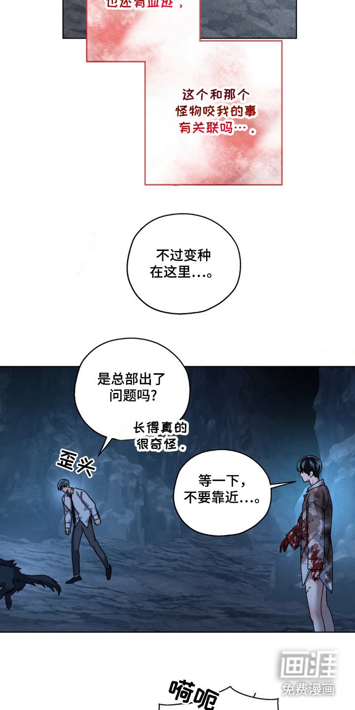 第32章：打击头部