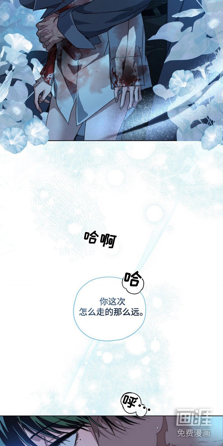 第32章：打击头部