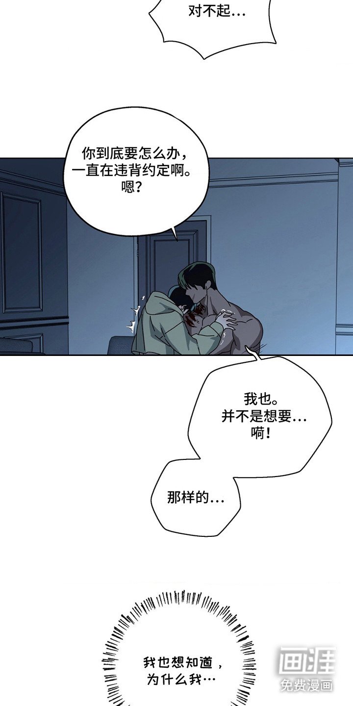 第4章：短暂的曙光