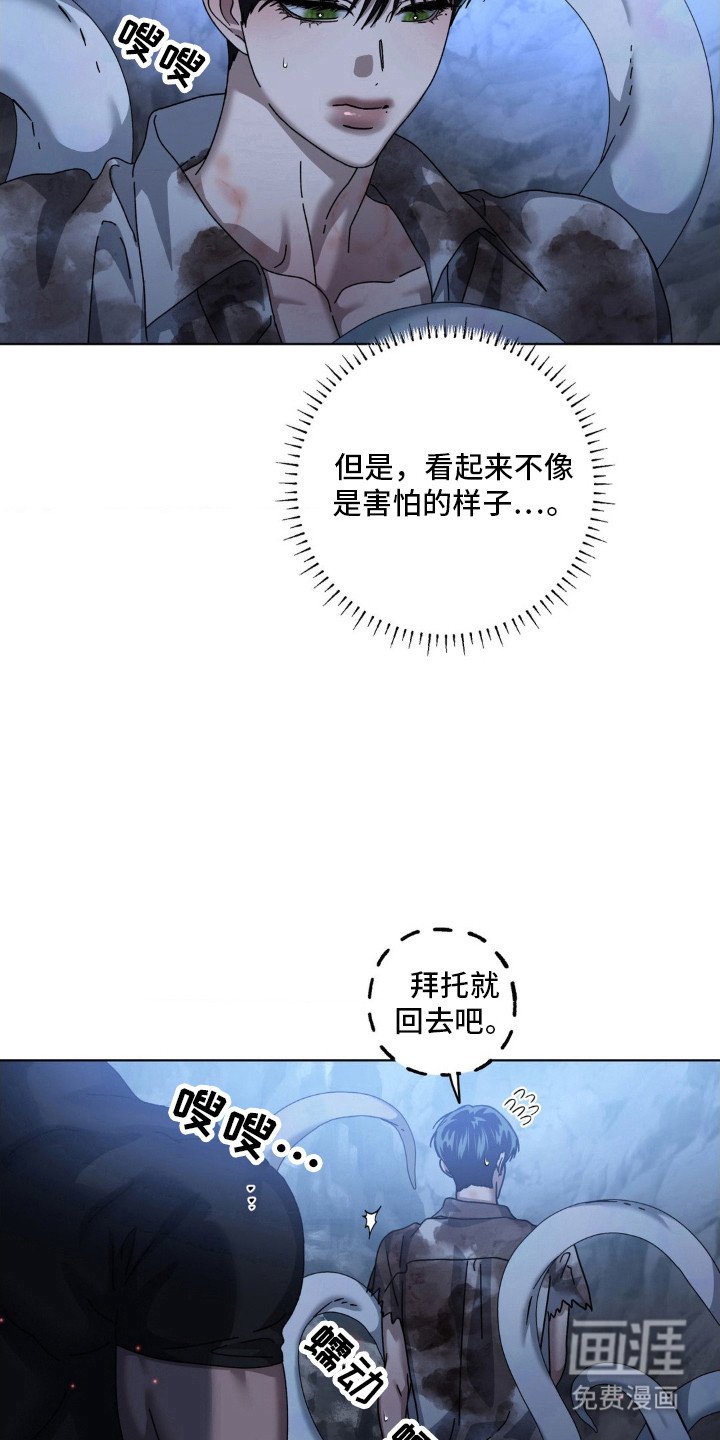 第41章：熟悉的感觉