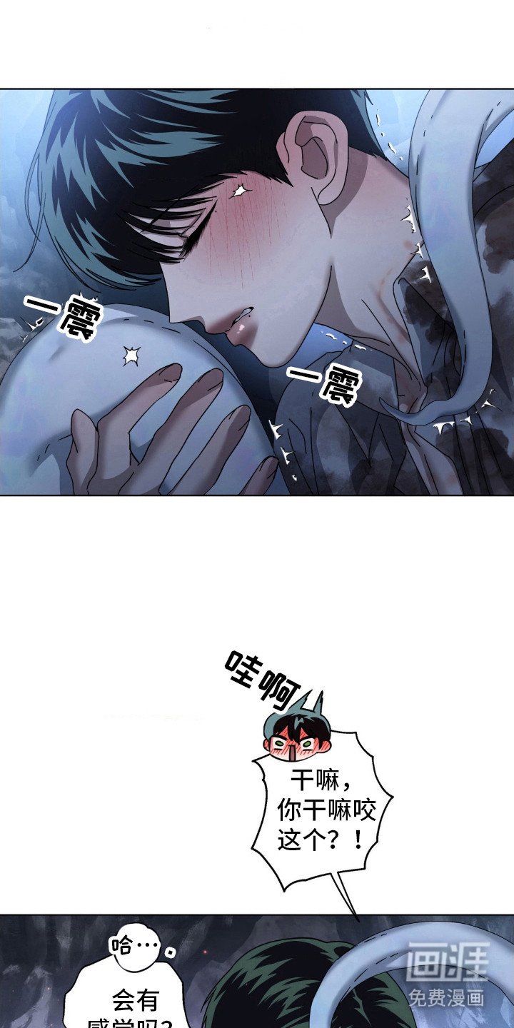 第41章：熟悉的感觉